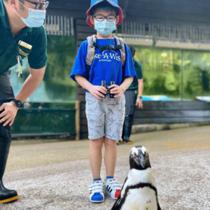 Darren with binoculars behind a penguin