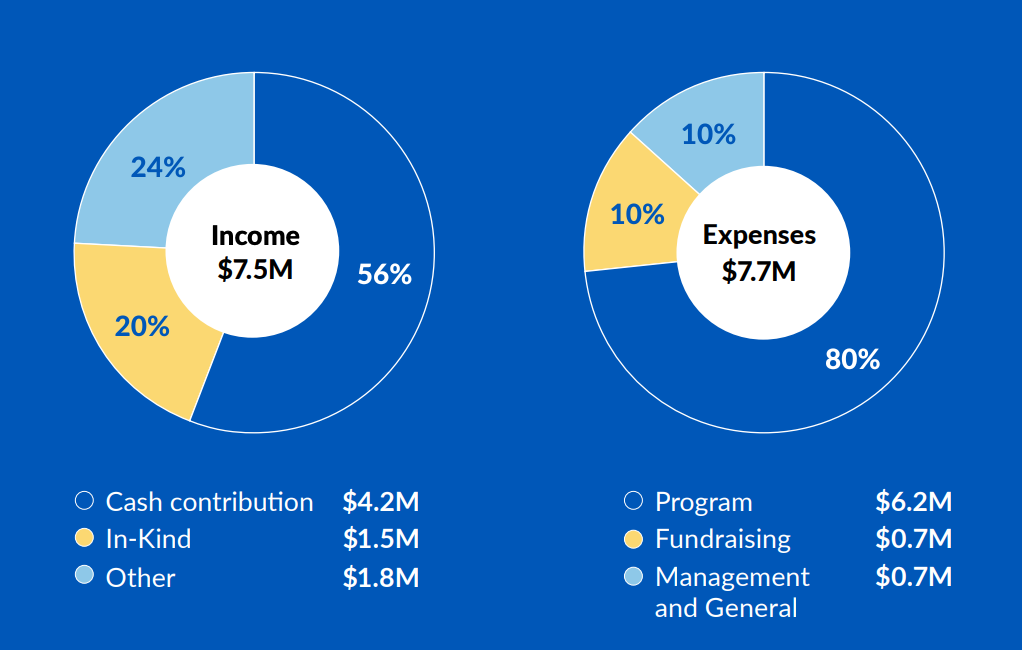 Income and Expenses graphs