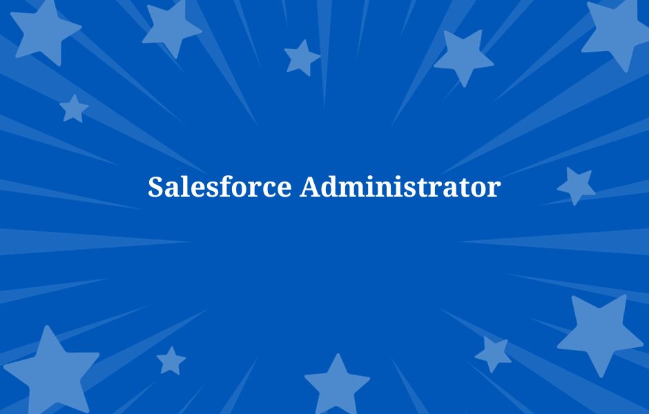 Salesforce Administrator Role