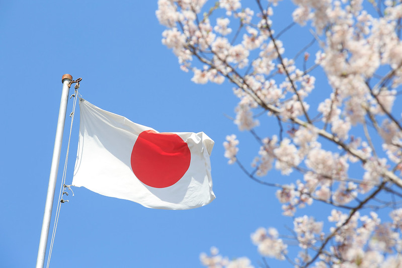 A japanese flag floating in front of a blue sky backdrop with a cherry blossomed tree branch.