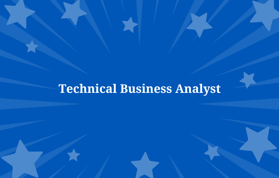 Technical Business Analyst