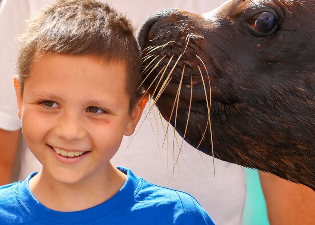 A smiling young boy in a blue shirt stands next to a seal, which appears to be nuzzling or whispering in his ear—capturing Emilios wish to swim with sea lions. The boy looks happy and relaxed.