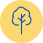 A simple blue outline of a tree centred on a yellow circular background.